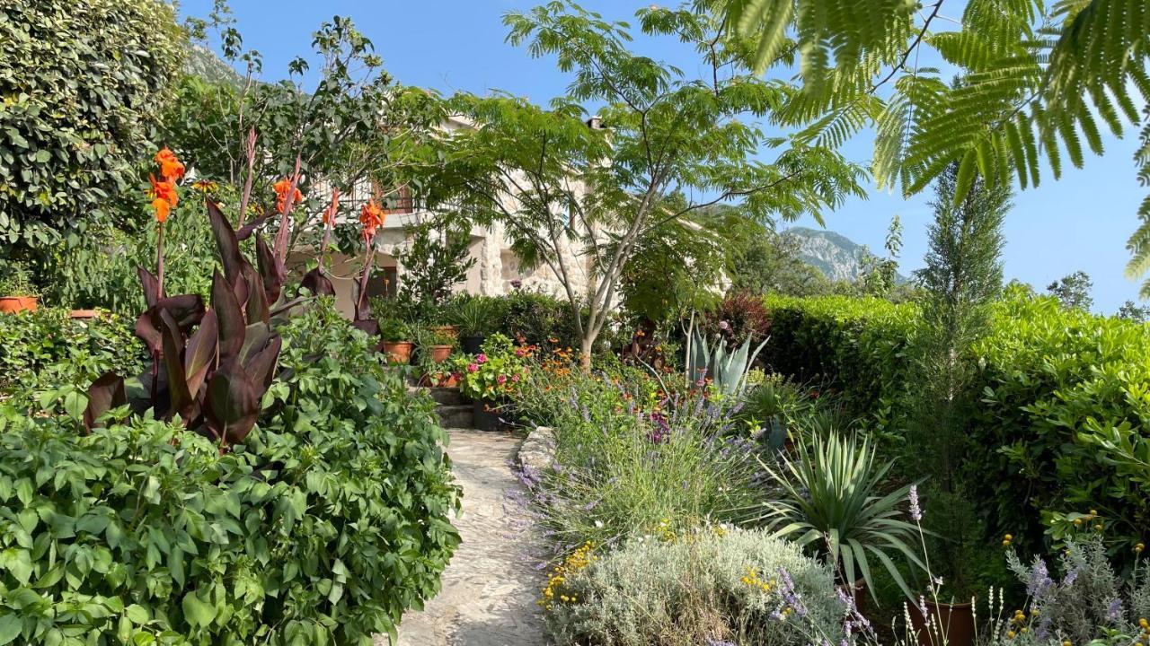 Mountains Villa Near 부드바 외부 사진